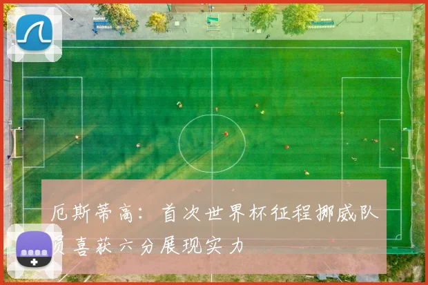 厄斯蒂高：首次世界杯征程挪威队员喜获六分展现实力