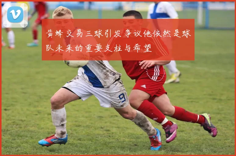 黄蜂交易三球引发争议他依然是球队未来的重要支柱与希望